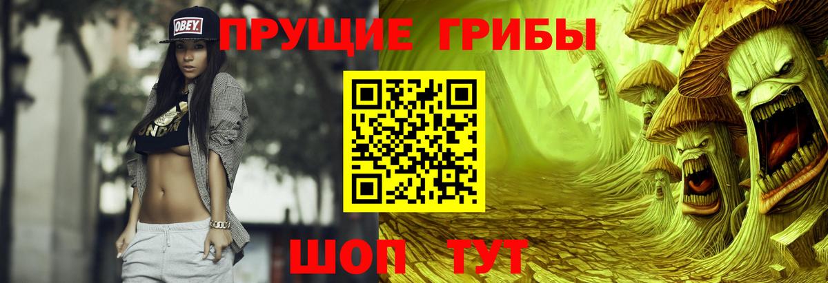 Псилоцибиновые грибы Cubensis  Вход с VPN  Рассказово 