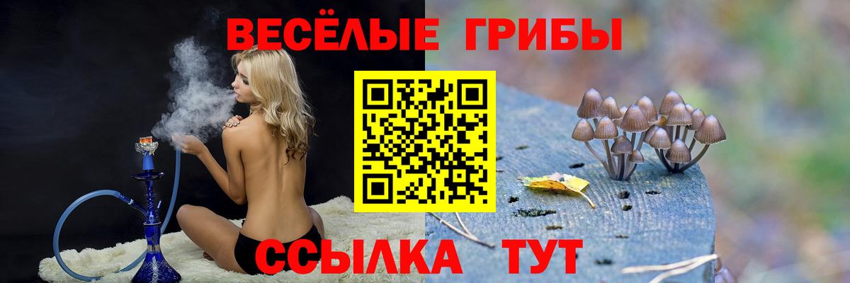 Псилоцибиновые грибы Magic Shrooms Рассказово